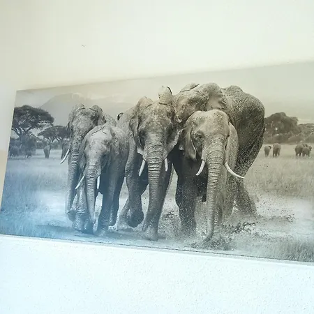 Hinter Der Residenz Apartment *